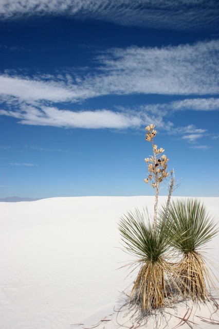 White Sands, New Mexico