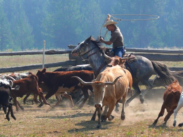 Fun and adventure on the Rocky Mountain