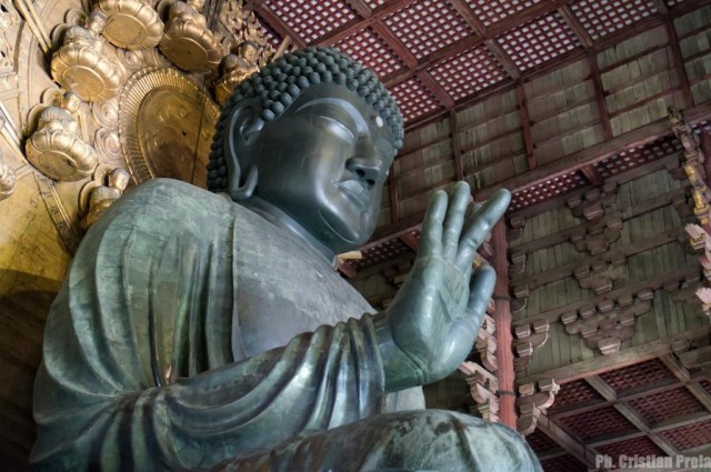 Daibutsuden, bronze Buddha - Nara, Japan