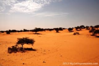 No Man's Land - Mauritania