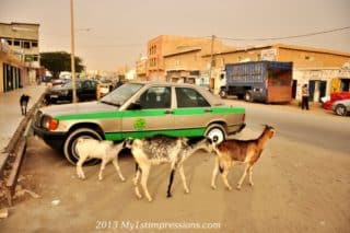 No Man's Land - Mauritania