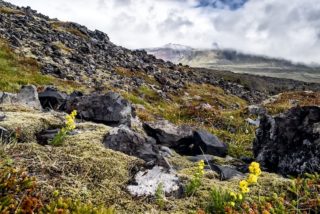 Snaefellssness, Iceland