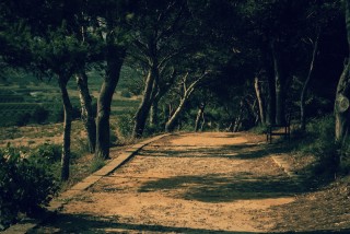 Sicily on the road - Italy