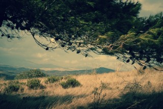 Sicily on the road - Italy